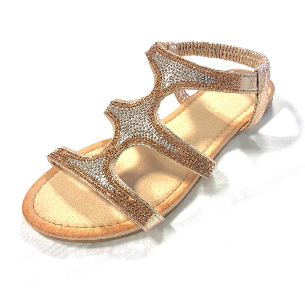 RoseGold Multi-color Sandals Strappy Sandals
